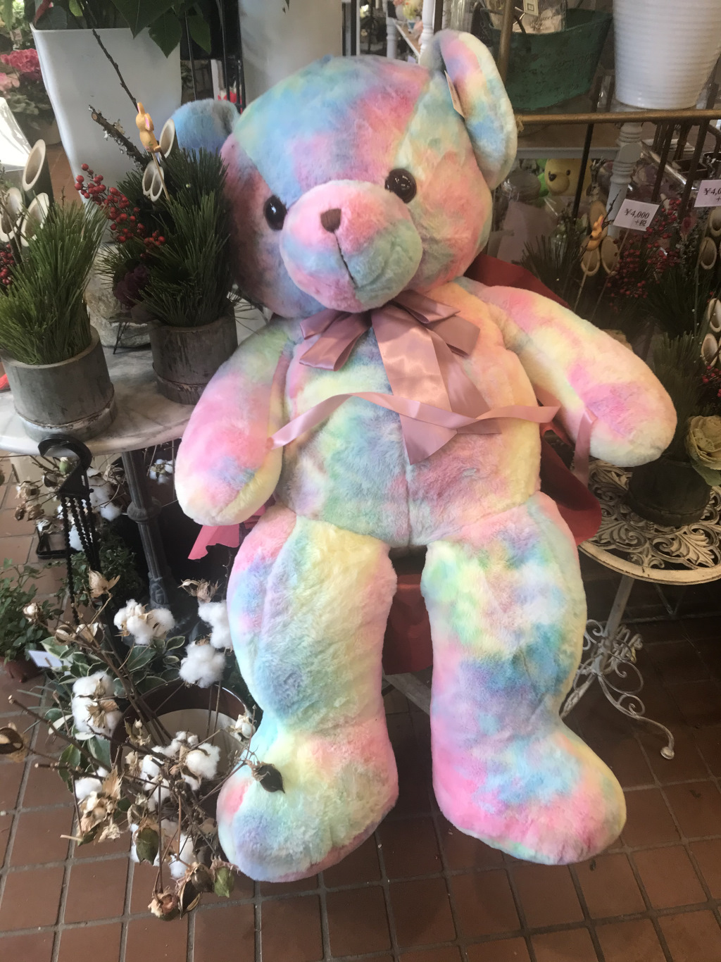 花屋にあった虹の熊 Bear Of The Rainbow Color Kimagure Sanpo 花屋にあった虹の熊 Bear Of The Rainbow Color Kimagure Sanpo